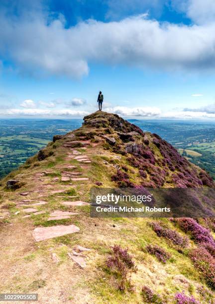 young hiker on black hill, or cats back, in the black mountains looking at the view in the brecon beacons national park - brecon beacons stock-fotos und bilder