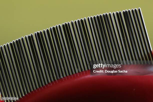 close-up of a fine toothed head lice cleaning comb - sharp toothed stock pictures, royalty-free photos & images