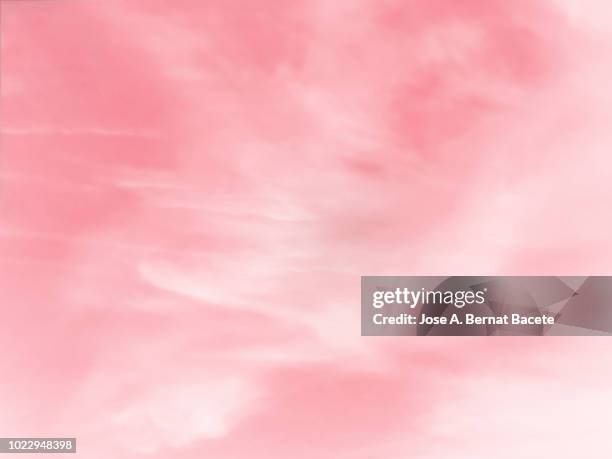 background of forms and abstract figures of smoke and steam of colors on a white and pale pink background. - rose pâle photos et images de collection