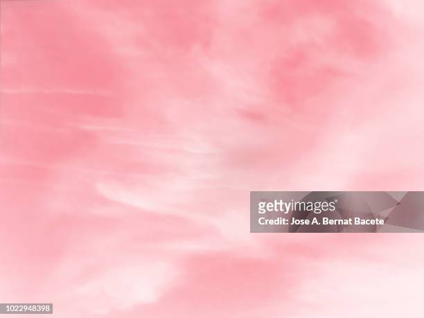 background of forms and abstract figures of smoke and steam of colors on a white and pale pink background. - 粉紅色的背景 個照片及圖片檔