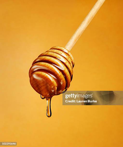 honey dripping off dripper - honey jar stock pictures, royalty-free photos & images