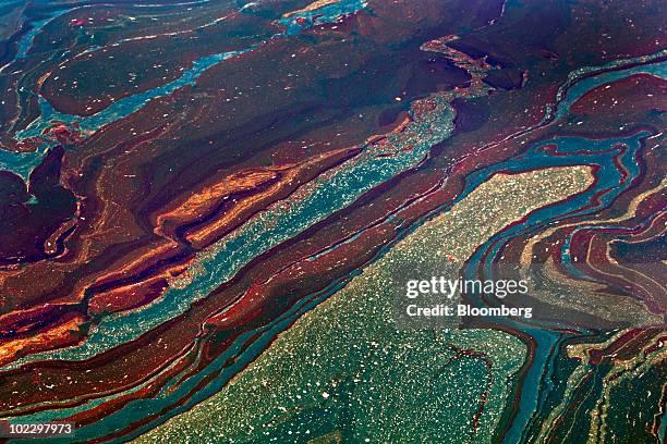Oil floats in the Gulf of Mexico near Orange Beach, Alabama, U.S., on Friday, June 18, 2010. The BP Plc oil spill, which began when the leased...
