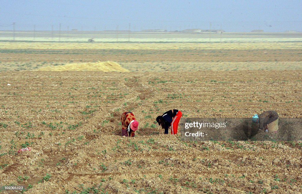 TO GO WITH AFP STORY BY ROUEIDA MABARDI
