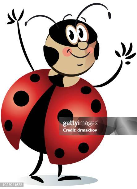 funny ladybug - ladybug stock illustrations