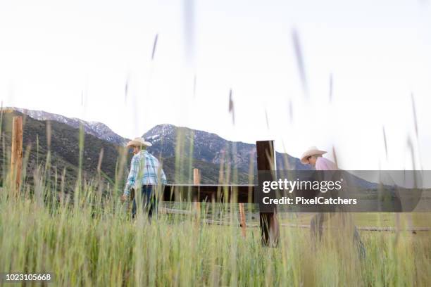 35 Mormon Cross Stock Photos, High-Res Pictures, and Images - Getty Images