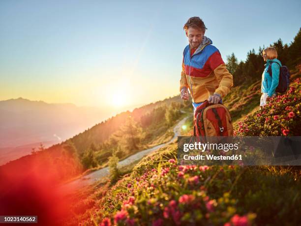 austria, tyrol, couple hiking the zirbenweg at the patscherkofel, looking at view - tyrol austria stock pictures, royalty-free photos & images