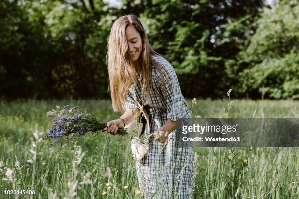 italy, veneto, young woman plucking flowers and herbs in field - bloemenveld stockfoto's en -beelden