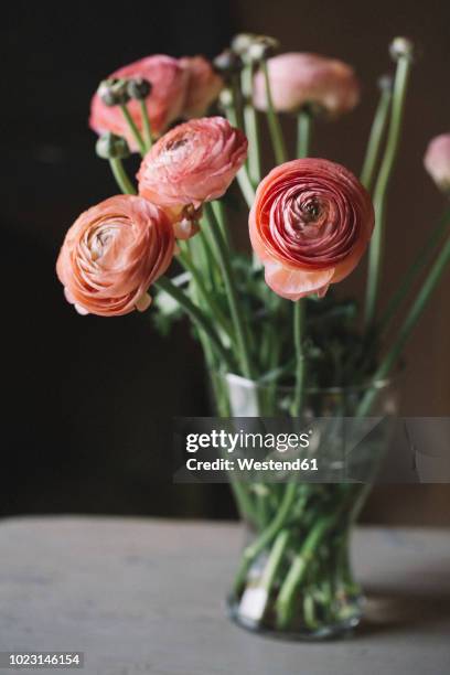 vase with flowers - ranunculus bildbanksfoton och bilder