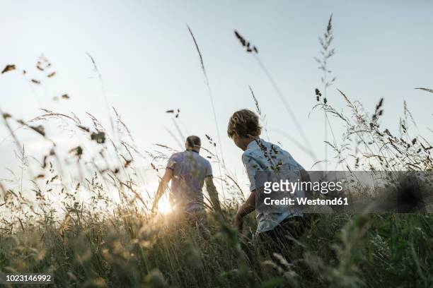 boy and his father walking in nature at sunset - rural scene stock-fotos und bilder