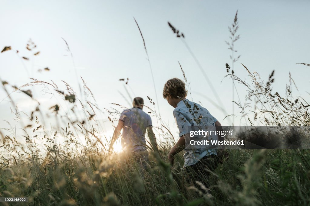Boy and his father walking in nature at sunset