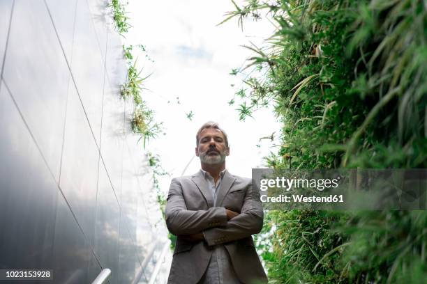 portrait of arrogant businessman - arrogancia fotografías e imágenes de stock