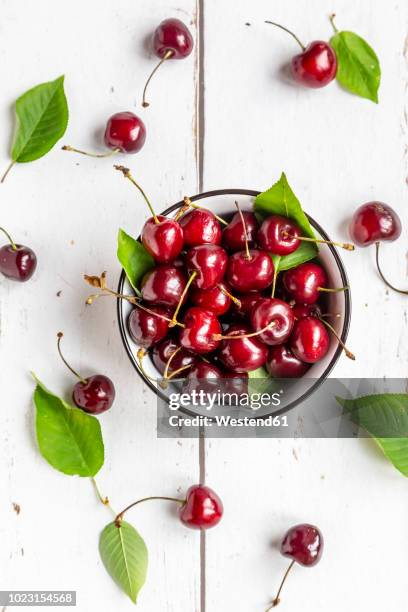 bowl of cherries on white wood - cherry stock pictures, royalty-free photos & images