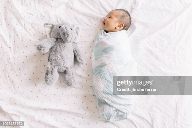 swaddled baby - baby blanket stock pictures, royalty-free photos & images