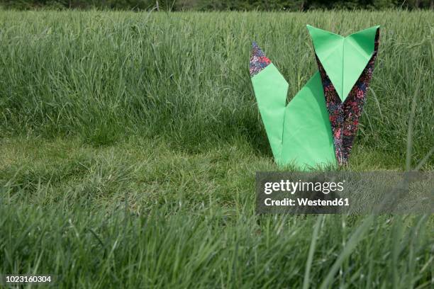 origami fox sitting on meadow - folding origami stock pictures, royalty-free photos & images