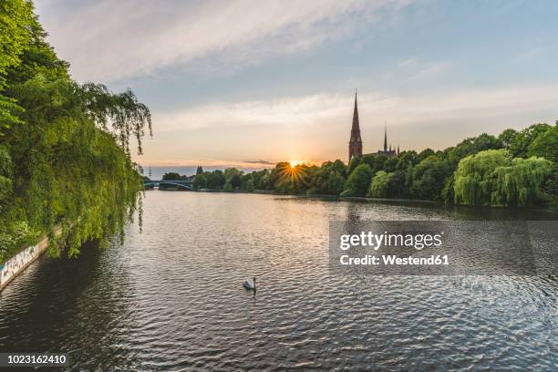 germany, hamburg, kuhmuehlenteich, mute swan and view to church st. gertrud - hambourg stock pictures, royalty-free photos & images