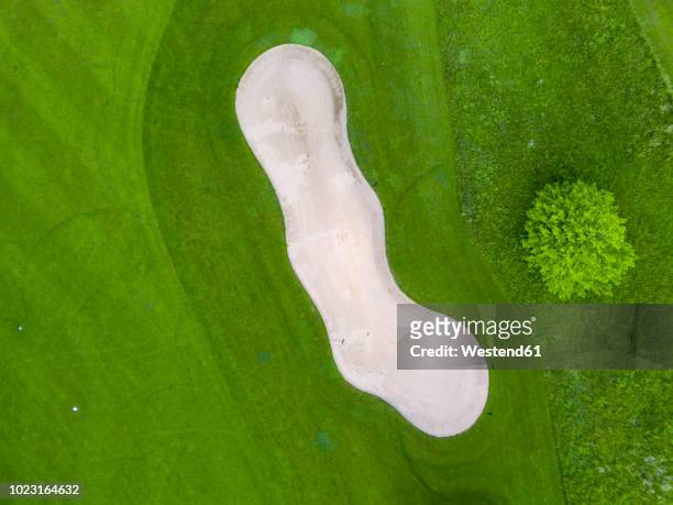 germany, baden-wuerttemberg, aerial view of golf course with bunker, green and hole - bunker campo da golf - fotografias e filmes do acervo