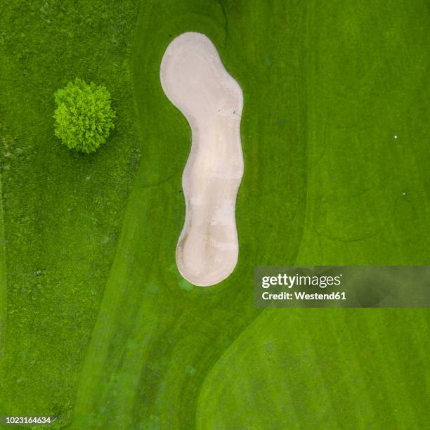 germany, baden-wuerttemberg, aerial view of golf course with bunker, green and hole - putting green overhead stock pictures, royalty-free photos & images