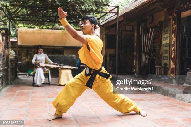 vietnam, hanoi, young man exercising kung fu - kung fu foto e immagini stock