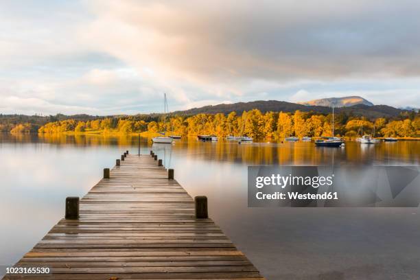 united kingdom, england, cumbria, lake district, windermere lake boardwalk, view at sunrise - lake district autumn stockfoto's en -beelden