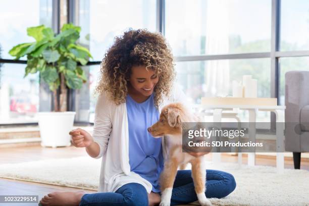 young woman plays with cute dog - home sweet home dog stock pictures, royalty-free photos & images