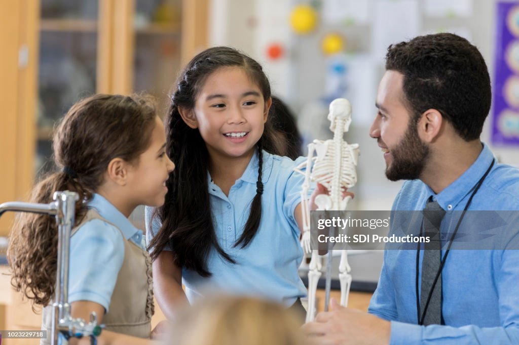 Middle schoolgirls study skeletal system with teacher