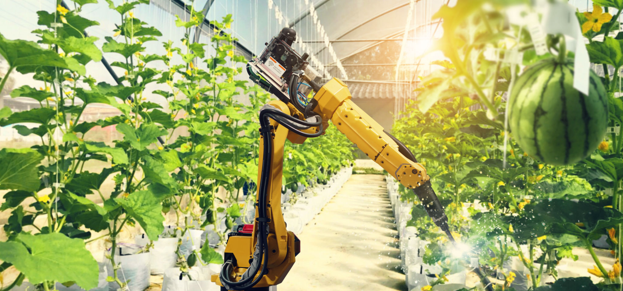 automated gardening