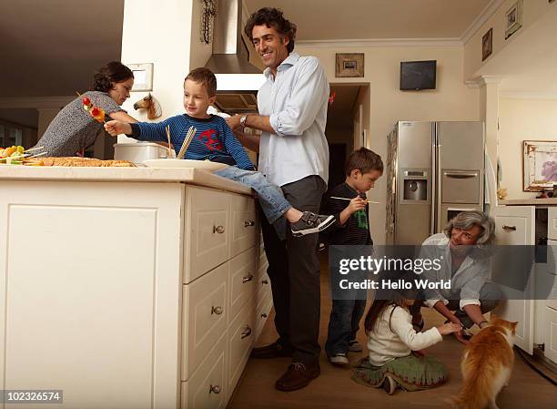 family making lunch and playing with cat - multi generational family with pet stock pictures, royalty-free photos & images