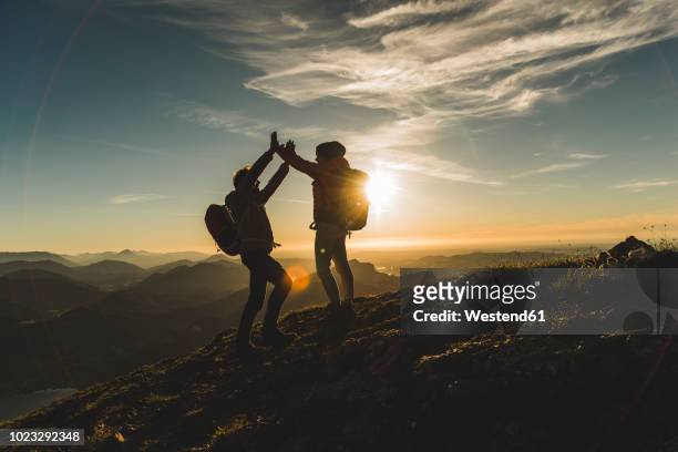 austria, salzkammergut, cheering couple reaching mountain summit - ziel stock-fotos und bilder