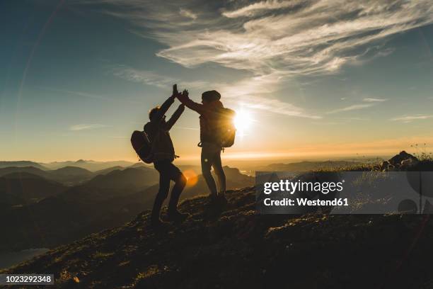 austria, salzkammergut, cheering couple reaching mountain summit - summit day 2 stock pictures, royalty-free photos & images