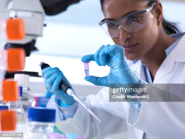 genetic research, female scientist viewing sample in a eppendorf vial, analysis in the laboratory - genomics stock-fotos und bilder