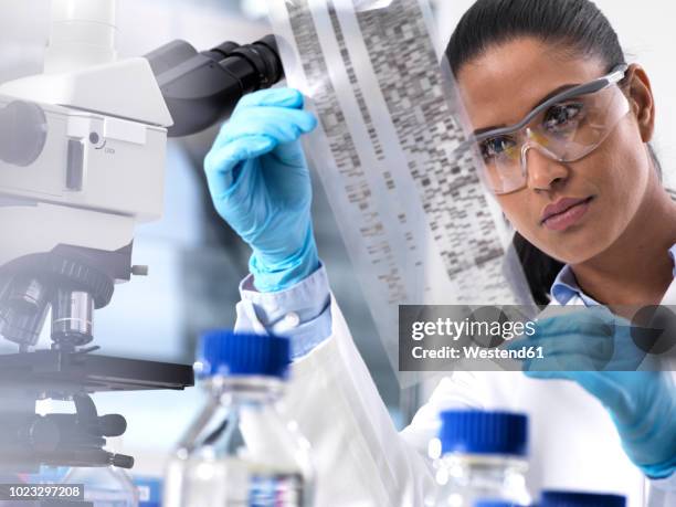 genetic research, female scientist holding a foil with genetic code, the genetic make-up - genetics stock pictures, royalty-free photos & images