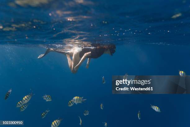 indonesia, bali, young woman snorkeling - plongée sous marine autonome photos et images de collection