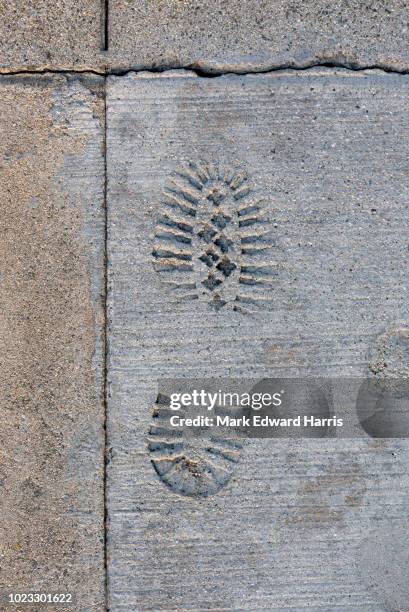 shoe print in cement - shoe print stock pictures, royalty-free photos & images