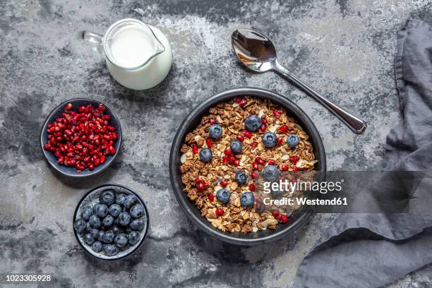 bowl of muesli with blueberries and pomegranate seed - muesli bildbanksfoton och bilder