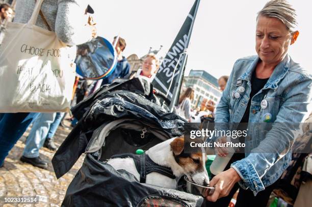 People take part in Animal rights march in Amsterdam, Netherlands, on August 25, 2018. Thousands of animal lovers gathered around the Dam square in...