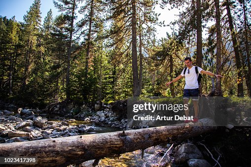 Adventurous guy crossing creek over dead tree in the Catalan Pyrenees.