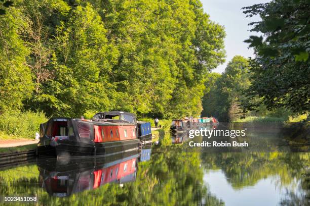 narrowboats or barges, grand union canal, cassiobury park, watford, hertfordshire,england - barge stock pictures, royalty-free photos & images