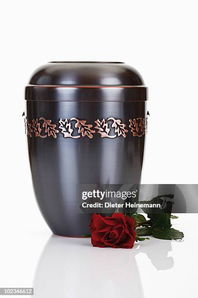 cremation urn and red rose - grecian urns stock-fotos und bilder