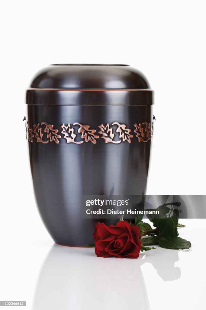 Cremation urn and red rose
