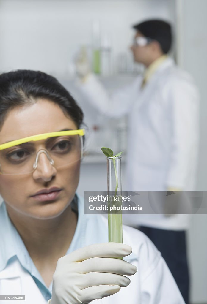 Scientist holding plants in test tube