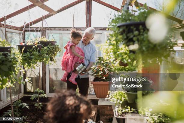 you'll be the best gardener in no time! - greenhouse uk stock pictures, royalty-free photos & images
