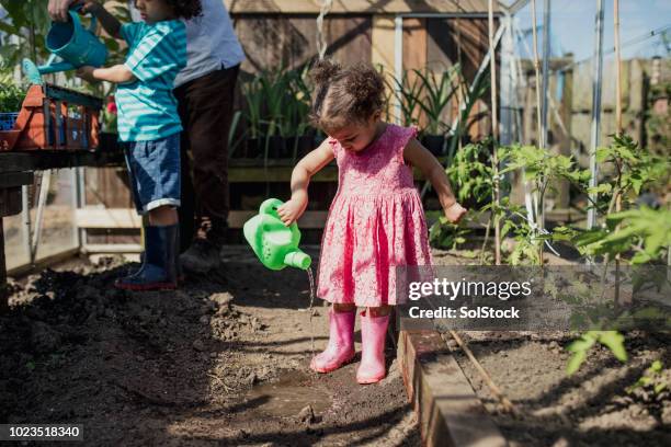 jardinería es un proceso de aprendizaje - empapado fotografías e imágenes de stock