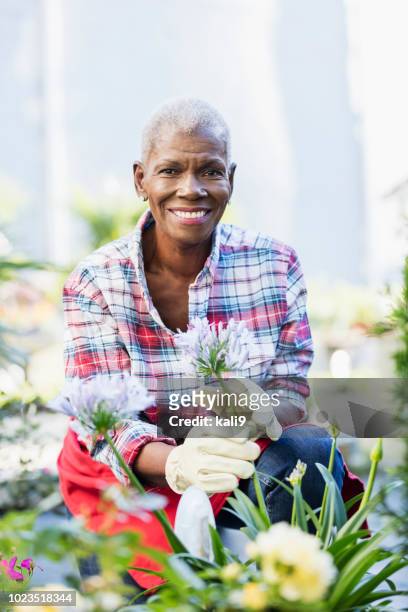 senior african-american woman working in garden center - agapanthus stock pictures, royalty-free photos & images