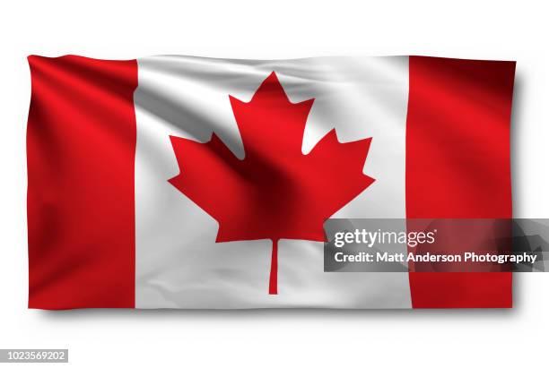 flag of canada - lönnlöv bildbanksfoton och bilder