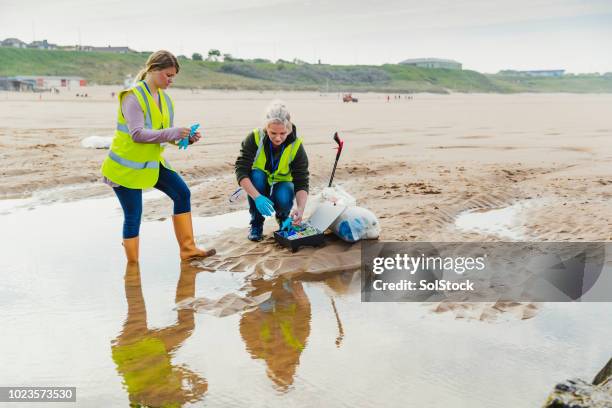 biological researcher taking a water sample - marine biologist stock pictures, royalty-free photos & images