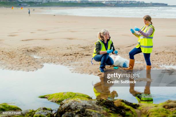 assessing environmental damage - biologist stock pictures, royalty-free photos & images