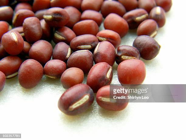 close up red beans on white background - adzukibohne stock-fotos und bilder