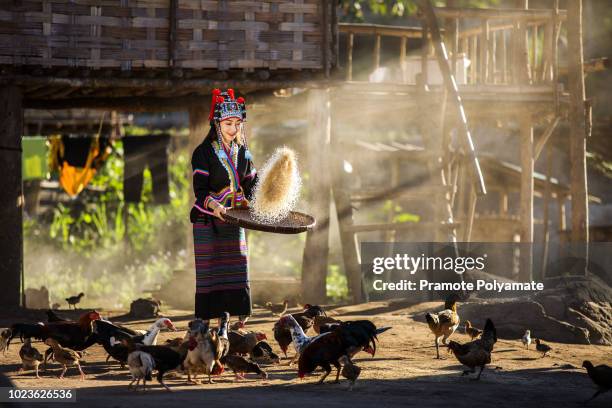 tribal people living geum mugabe in costume wearing a beautiful city in laos. - hmong stockfoto's en -beelden