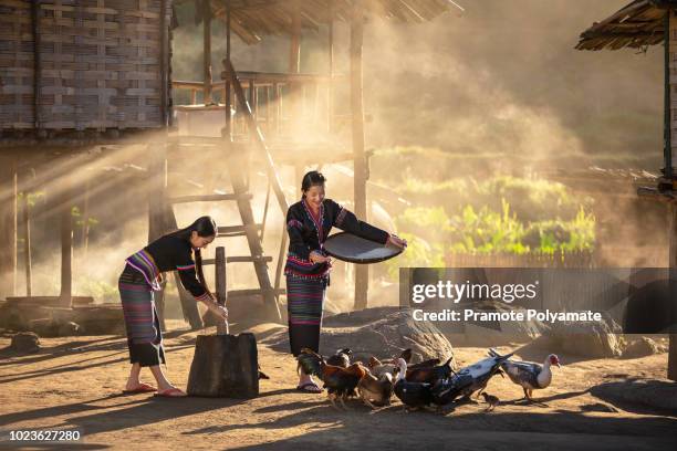 tribal people living geum mugabe in costume wearing a beautiful city in laos. - miao minority stock pictures, royalty-free photos & images