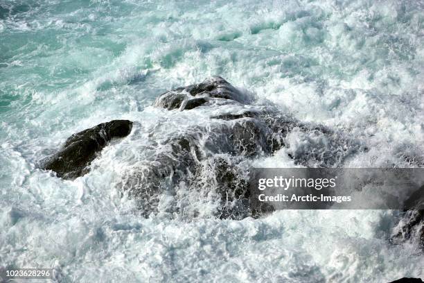 waves over rocks, surtsey volcanic island, westman islands, iceland - surtsey stock pictures, royalty-free photos & images